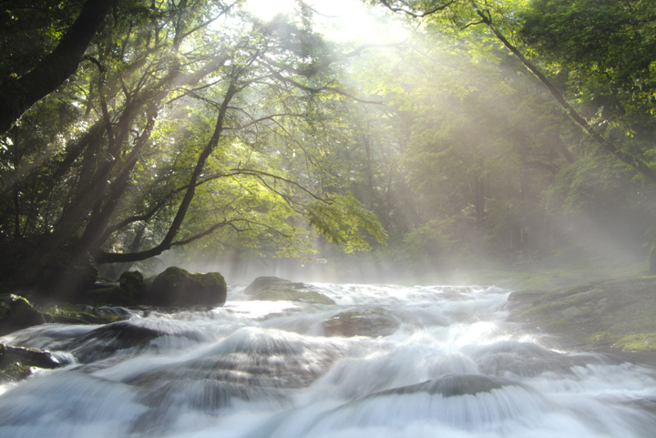 �r�W�l�X�E�R���T���e�B���O